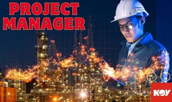 Project Manager Job Image