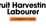 G2G Berry Farm INC