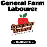 Grandview Orchard LTD