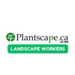 Plantscape Inc
