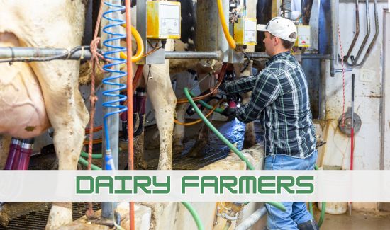 Dairy Farmers Jobs in UK