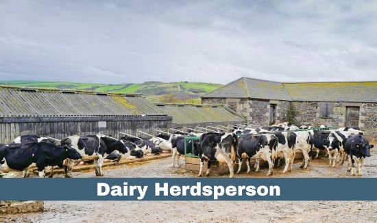 Dairy Herdsperson Job in Canada