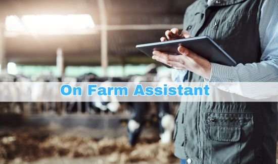 On Farm Assistant Job