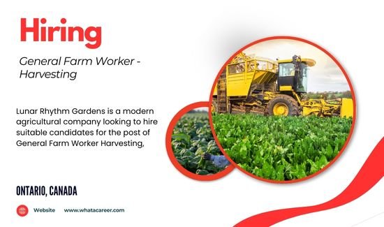 General Farm Worker Harvesting Image