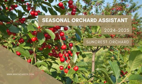 Seasonal Orchard Assistant