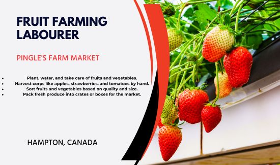 Fruit Farming Labourer Job in Canada