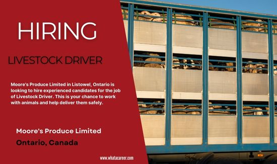 Livestock Driver Job in Canada