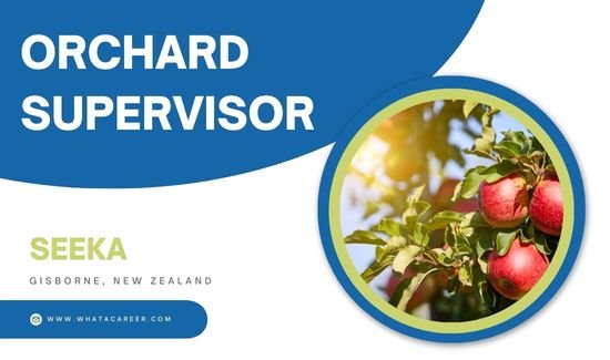 Orchard Supervisor Job in New Zealand