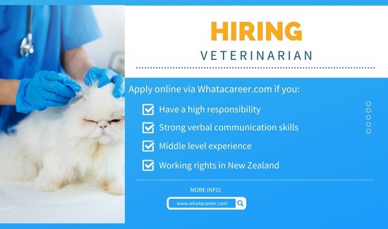 Veterinarian Job in Franklin Vets NZ