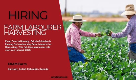 Farm Labourer Harvesting Job Canada