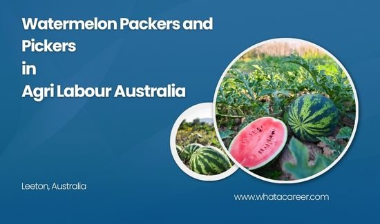 Watermelon Packers and Pickers Job