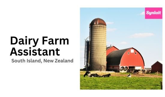 Dairy Farm Assistant Jobs