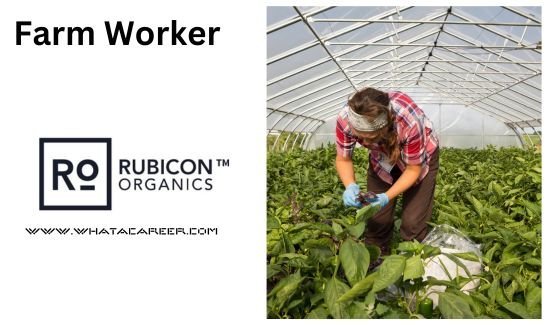 Farm Worker in Rubicon Canada