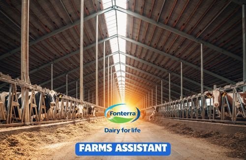 Farms Assistant Job in Fonterra