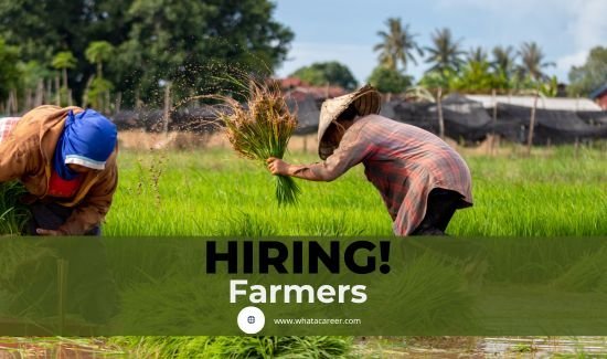 Latest Farmer Job in Japan