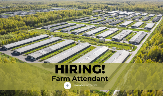 Farm Attendant Job in Australian Farm