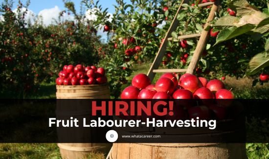 Farm Labourer Harvesting Jobs