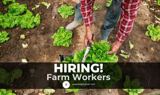 Farm Worker Job in Organic Farm Canada